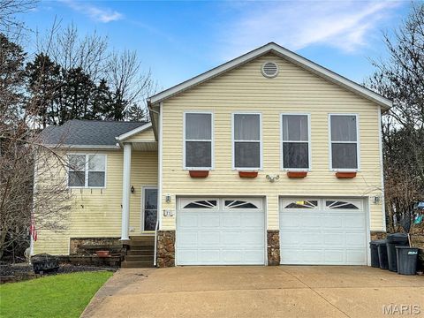 21 Forest Lane Union MO 63084