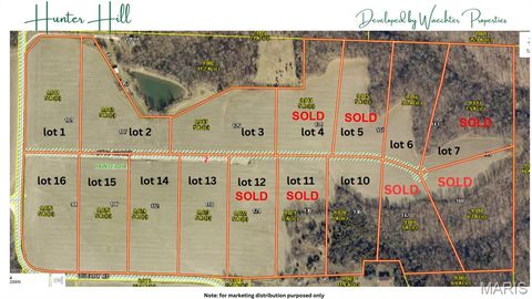 Tiny photo for 125 Otto Court, Silex, MO 63377 (MLS # 26020407)