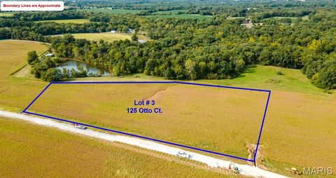 Photo of 125 Otto Court, Silex, MO 63377 (MLS # 26020407)