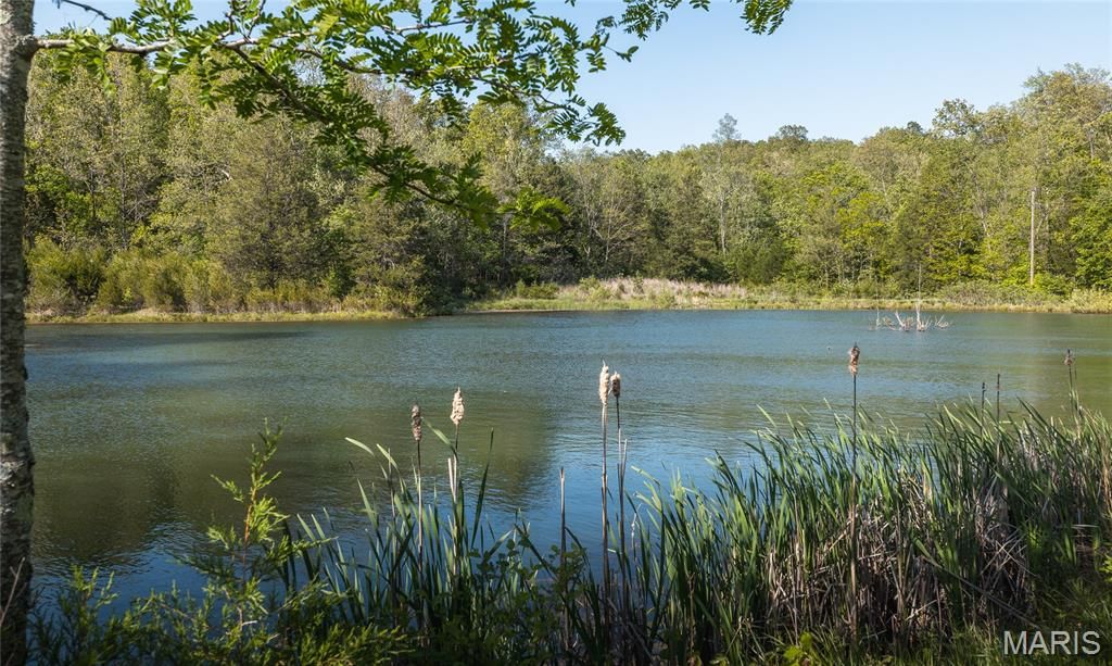 Photo of 26402 State Highway C, Potosi, MO 63664 (MLS # 26029071)