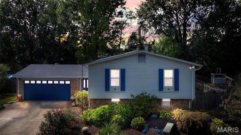 13 W Douglas Drive St Peters MO 63376