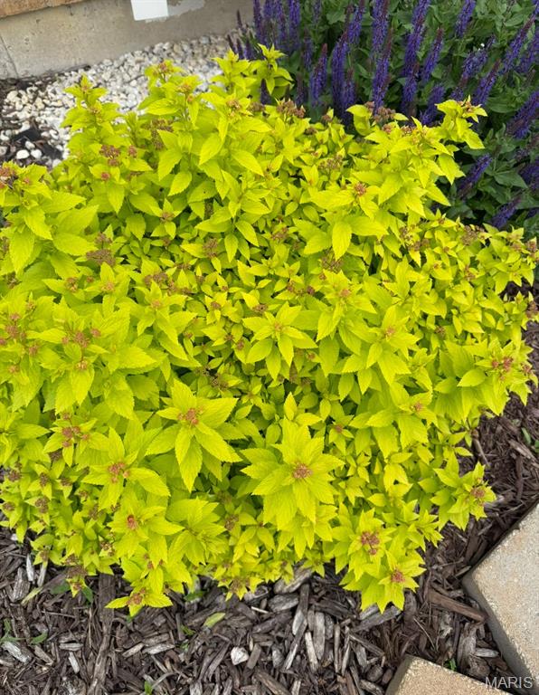 Dardenne Meadows #1 - Residential