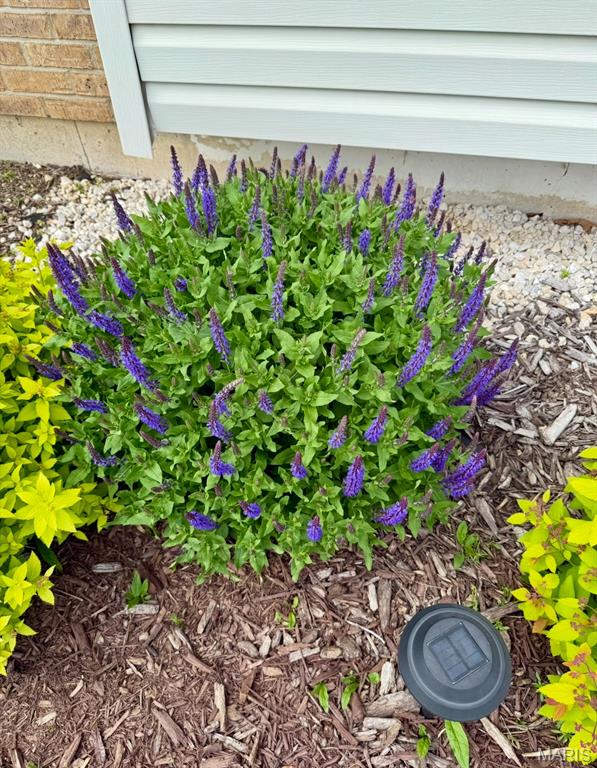 Dardenne Meadows #1 - Residential