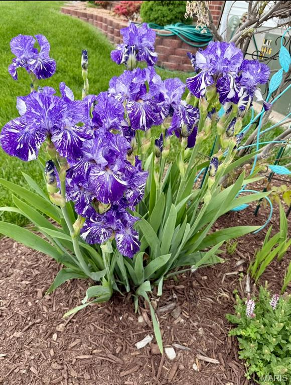 Dardenne Meadows #1 - Residential