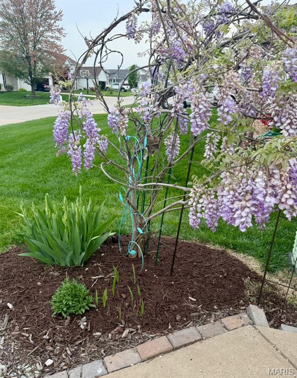 Dardenne Meadows #1 - Residential