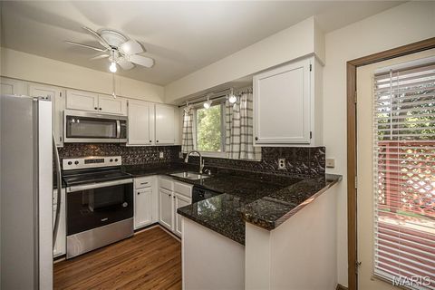 Tiny photo for 147 Cascade Terrace Drive, Wildwood, MO 63021 (MLS # 26034090)