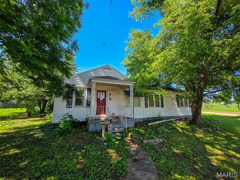Photo of 316 Albert Street, Fredericktown, MO 63645 (MLS # 26034386)