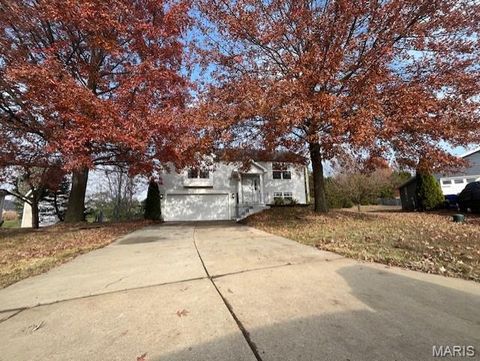 Photo of 720 Tobermory Court, Wentzville, MO 63385 (MLS # 25076817)