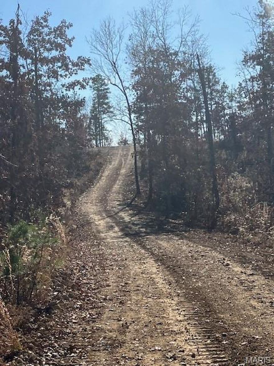 Wooded rural acreage with electricity and gravel road access along the northern and eastern boundaries .. it doesn't get much better. But what if it was close to Mark Twain National Forest and the spring-fed 12-Mile Creek ... a landowner's dream come true. 
This small affordable Ozark oasis comes with NO restrictions. 
Hunt, camp, build, ride ATVs, and if you buy a piece with creek you can fish or play in the water, too. The opportunities are endless.
This property is wooded and rolling. You are less than a mile from the 22,176-acre Mark Twain National Forest ... public ground where you can hunt, ride and explore. Yet you're only about 1.5 miles by road from U.S. 67 for quick and easy access.
Use this affordable 10.02 acres as a base camp for adventure. This and surrounding acreage is teeming with deer, turkey and small game. This piece will sell fast, so call today and line up a time to take a look. Once you see, you'll likely want to own!