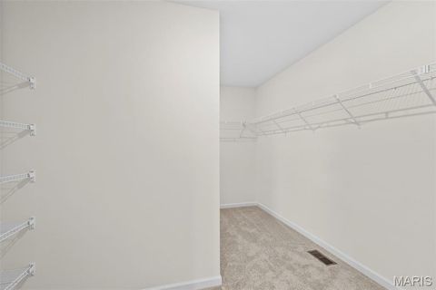 Tiny photo for 553 Evening Primrose Drive, Wentzville, MO 63385 (MLS # 25081658)