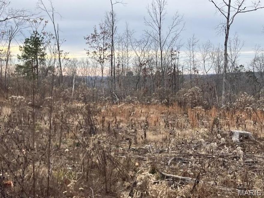 This Ozark hideaway includes deeded access to a nearby shared spring-fed stream, and sits within about a mile of Mark Twain National Forest. 
This affordable 25.69 acre oasis comes with NO restrictions, and can be had for less than the price of a new truck. And there's a nice deeded easement gravel road leading from the county road to your property.
Hunt, camp, build, ride ATVs on your own land, or fish or play in the shared creek section ... endless opportunities.
This property is wooded and rolling. You are within a mile of the 22,176-acre Mark Twain National Forest ... public ground where you can also hunt, ride and explore. All this, and only about 2 miles by road from U.S. 67.
Use this wooded, secluded property as a base camp for adventure. This and surrounding land is teeming with deer, turkey and small game, and the occasional feral hog or maybe a black bear.
There is additional acres available which adjoin this piece if interested.