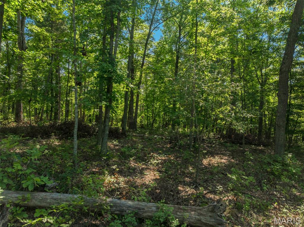 Innsbrook Estates - Land