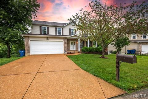 1408 Glacier Pass Festus MO 63028