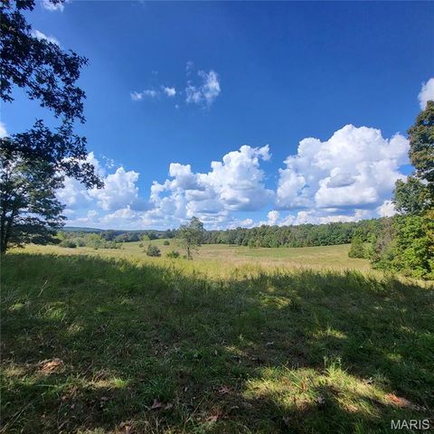 Tiny photo for 1710 Ripley 142W-7, Gatewood, MO 63942 (MLS # 25068767)