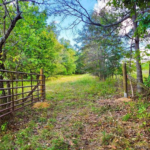 Tiny photo for 1710 Ripley 142W-7, Gatewood, MO 63942 (MLS # 25068767)