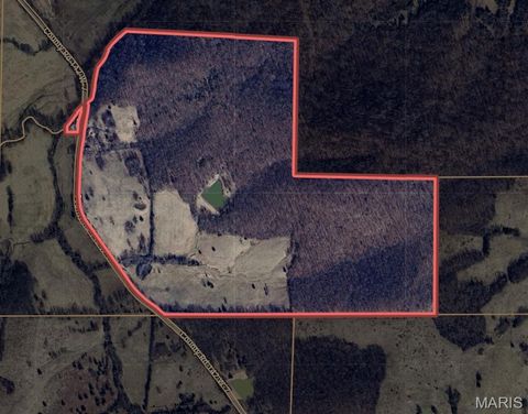 Tiny photo for 1710 Ripley 142W-7, Gatewood, MO 63942 (MLS # 25068767)