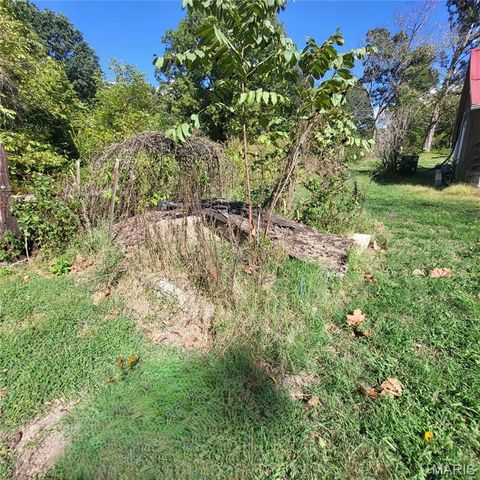 Tiny photo for 1710 Ripley 142W-7, Gatewood, MO 63942 (MLS # 25068767)