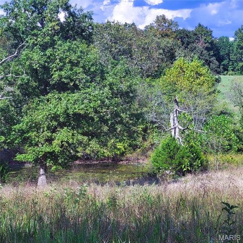 Tiny photo for 1710 Ripley 142W-7, Gatewood, MO 63942 (MLS # 25068767)