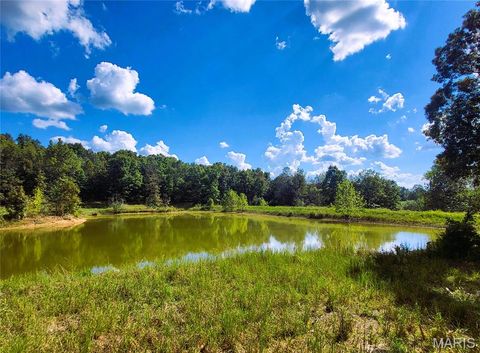 Tiny photo for 1710 Ripley 142W-7, Gatewood, MO 63942 (MLS # 25068767)