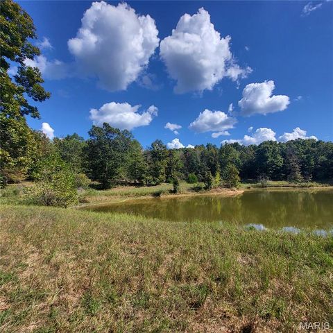 Tiny photo for 1710 Ripley 142W-7, Gatewood, MO 63942 (MLS # 25068767)