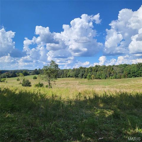 Tiny photo for 1710 Ripley 142W-7, Gatewood, MO 63942 (MLS # 25068767)