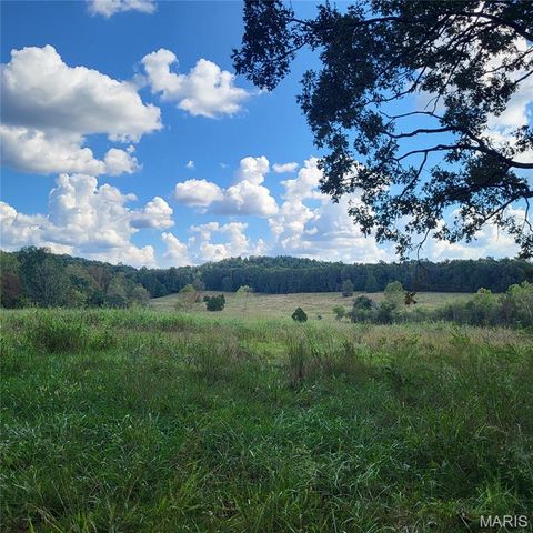 Tiny photo for 1710 Ripley 142W-7, Gatewood, MO 63942 (MLS # 25068767)