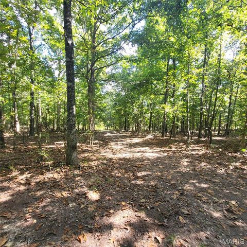 Tiny photo for 1710 Ripley 142W-7, Gatewood, MO 63942 (MLS # 25068767)