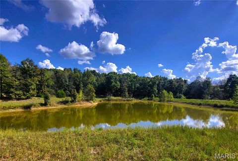 Photo of 1710 Ripley 142W-7, Gatewood, MO 63942 (MLS # 25068767)