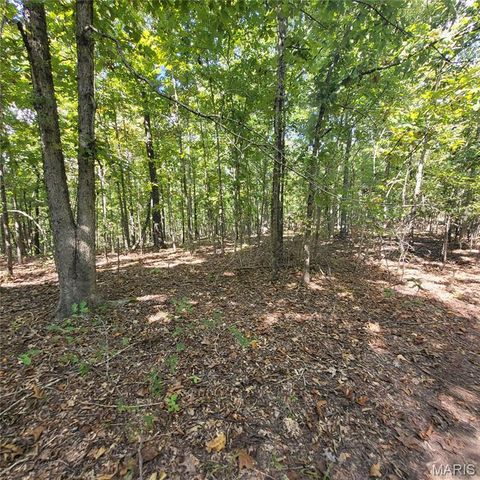 Tiny photo for 1710 Ripley 142W-7, Gatewood, MO 63942 (MLS # 25068767)