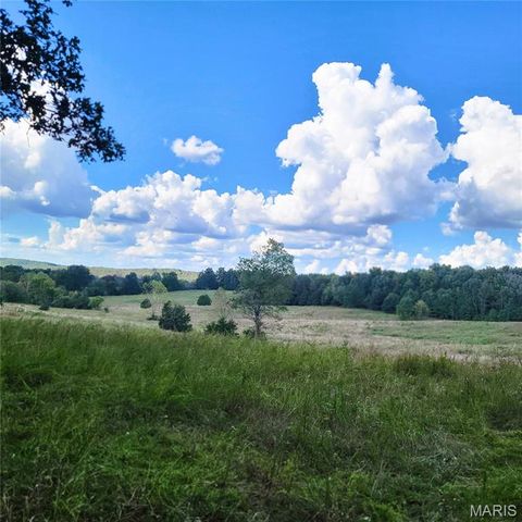 Tiny photo for 1710 Ripley 142W-7, Gatewood, MO 63942 (MLS # 25068767)