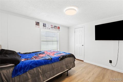 Tiny photo for 410 Julie Court, Elsberry, MO 63343 (MLS # 26018276)