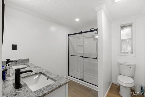 Tiny photo for 410 Julie Court, Elsberry, MO 63343 (MLS # 26018276)