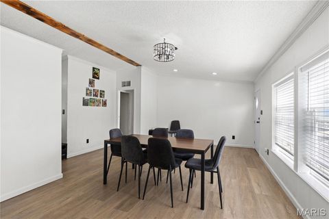 Tiny photo for 410 Julie Court, Elsberry, MO 63343 (MLS # 26018276)