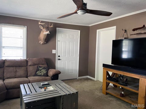 Tiny photo for 13739 County Road 413, Dexter, MO 63841 (MLS # 26068945)