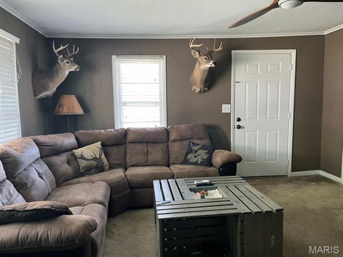 Tiny photo for 13739 County Road 413, Dexter, MO 63841 (MLS # 26068945)
