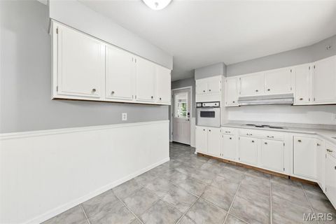Tiny photo for 13579 Old Jamestown Road, Black Jack, MO 63033 (MLS # 26030234)
