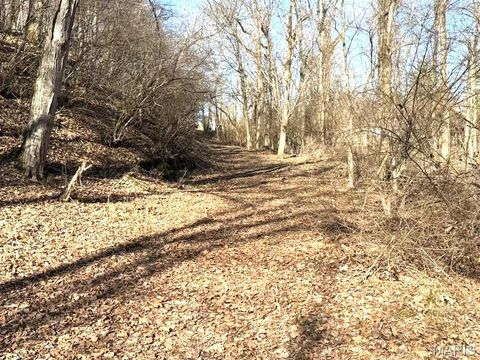 Tiny photo for 1155 Kiefer Creek Road, Ballwin, MO 63021 (MLS # 26004750)