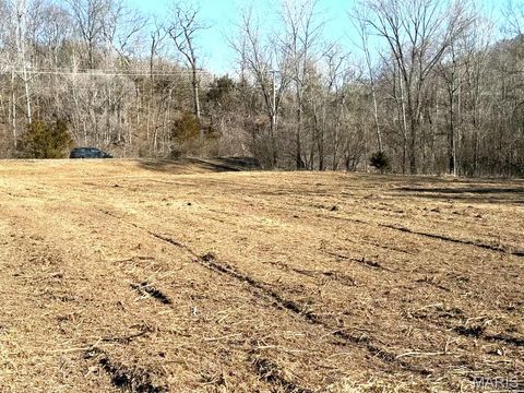 Tiny photo for 1155 Kiefer Creek Road, Ballwin, MO 63021 (MLS # 26004750)