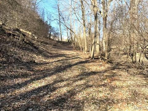 Tiny photo for 1155 Kiefer Creek Road, Ballwin, MO 63021 (MLS # 26004750)