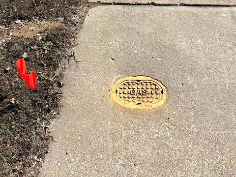 Tiny photo for 1155 Kiefer Creek Road, Ballwin, MO 63021 (MLS # 26004750)