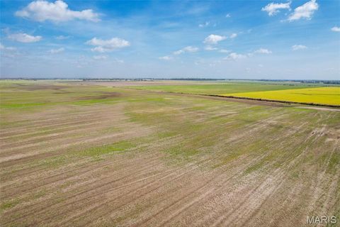 Tiny photo for 000 CR 706 #3, Matthews, MO 63867 (MLS # 26020671)