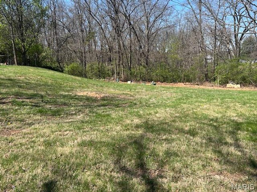 Photo of 127 White Oak Estates Drive, Troy, MO 63379 (MLS # 26020359)