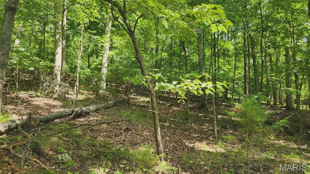 Lake Sherwood Estates - Land