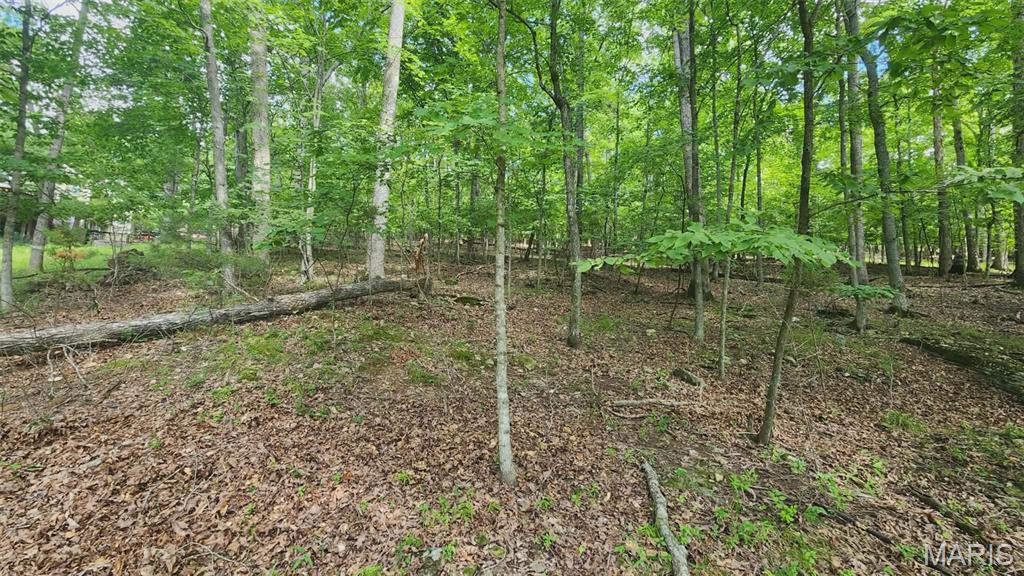 Lake Sherwood Estates - Land