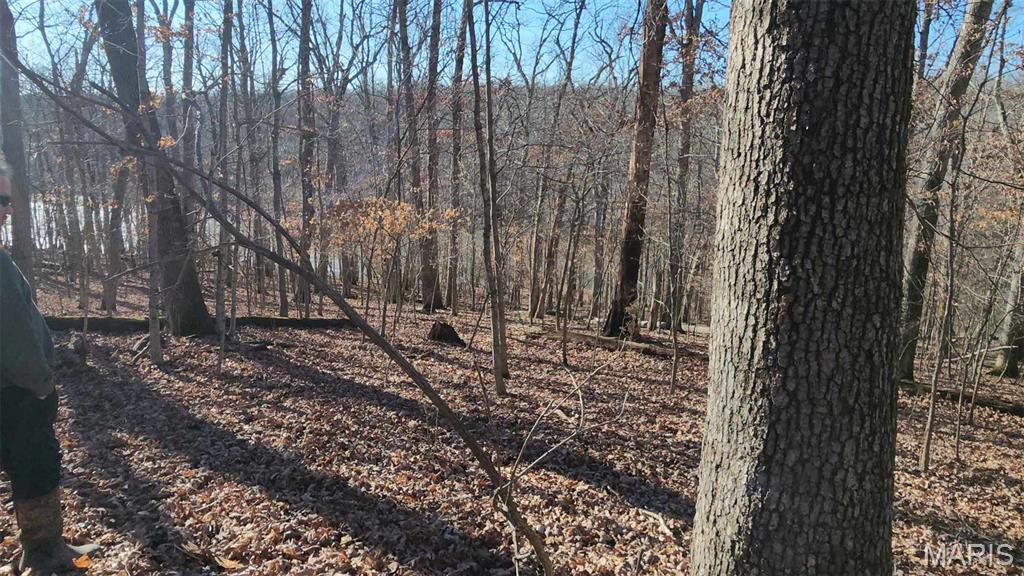 Lake Sherwood Estates - Land