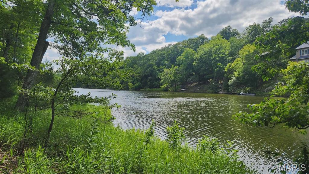 Lake Sherwood Estates - Land