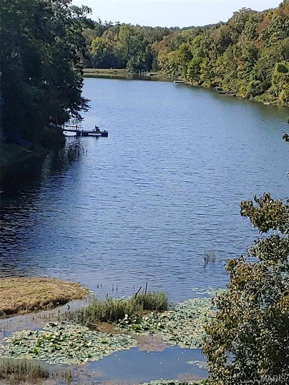 Lake Sherwood Estates - Land