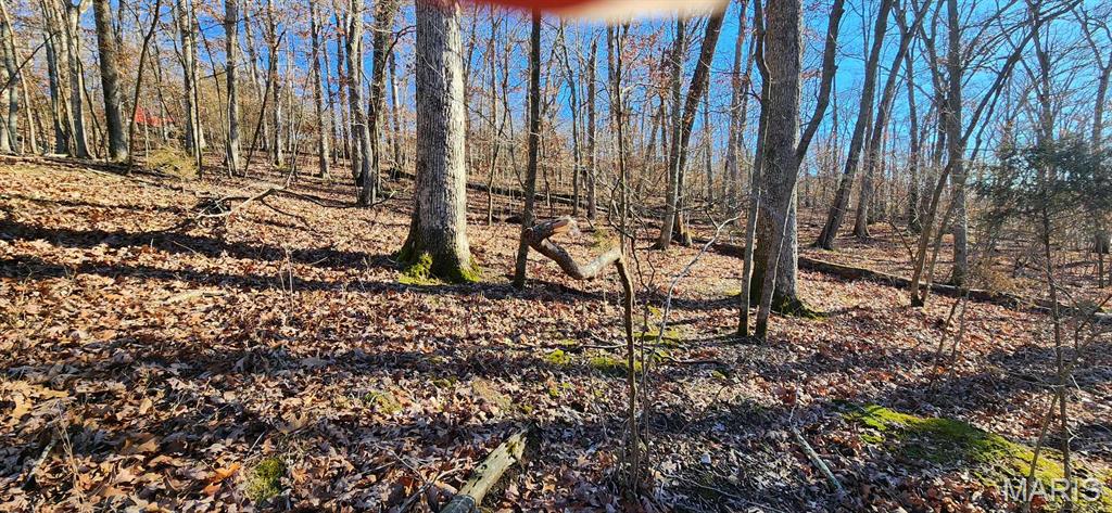 Lake Sherwood Estates - Land