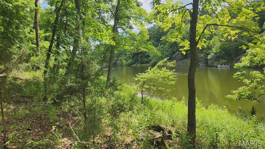 Lake Sherwood Estates - Land