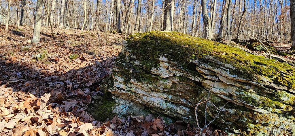 Lake Sherwood Estates - Land